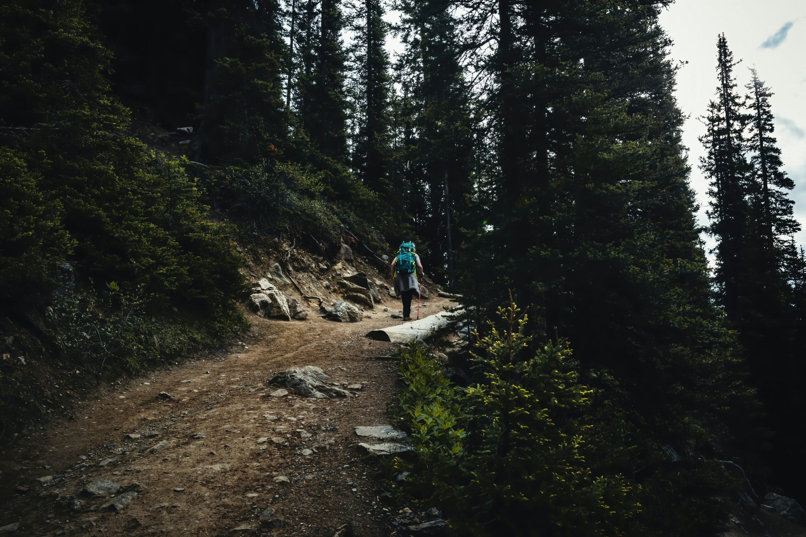 Best Hiking Trails